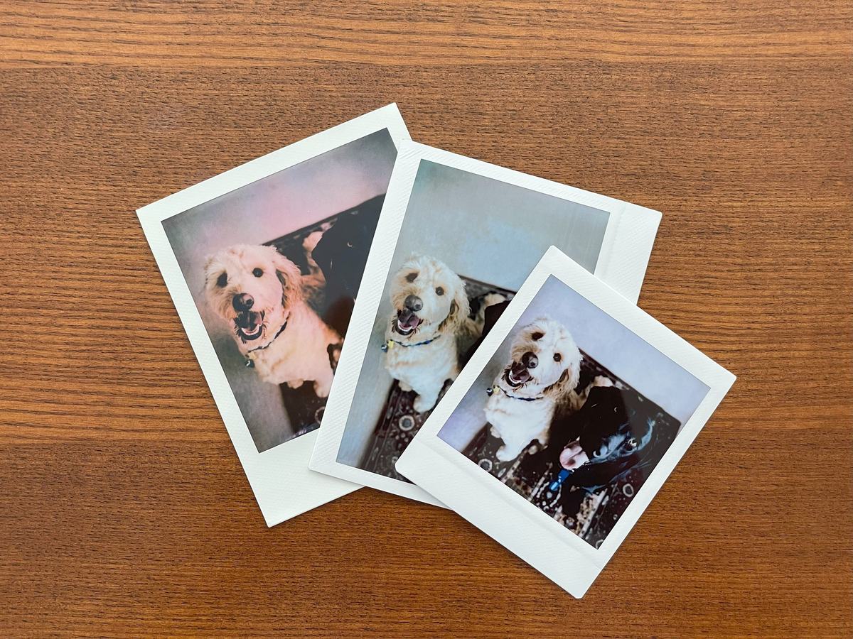 Digital photos printed onto real Polaroid and Instax instant film